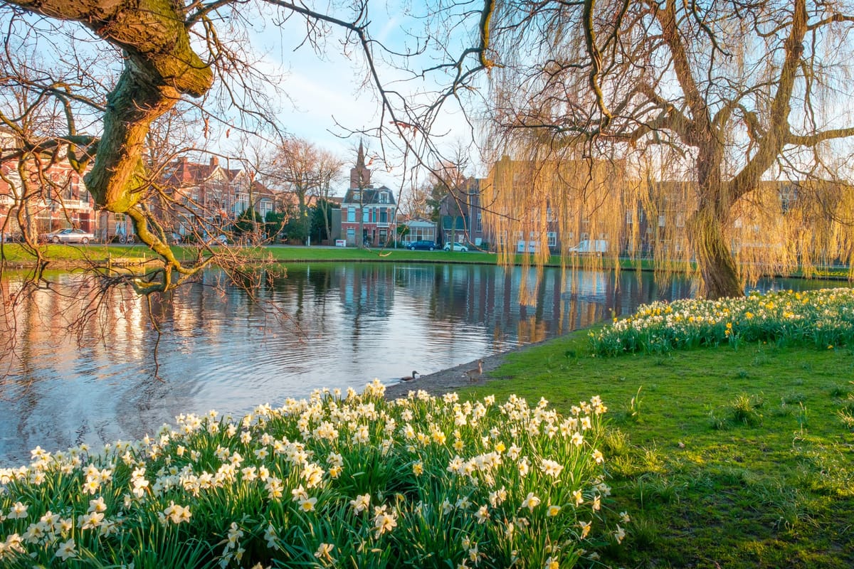 Springtime Has Come