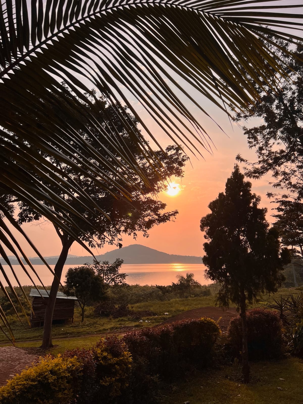 Update from Uganda