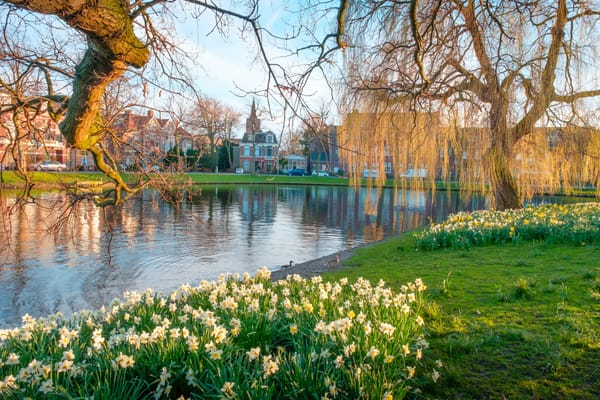 Springtime Has Come