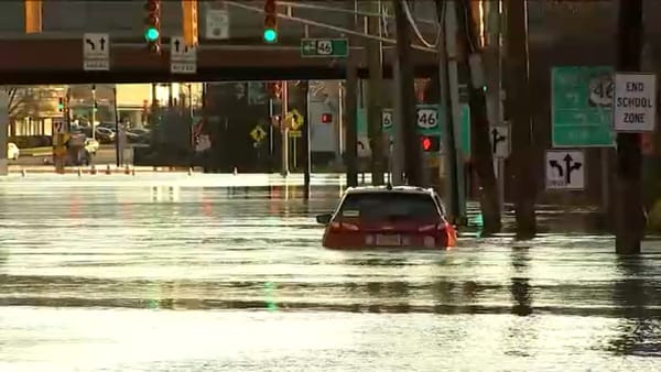 The Year of the Flood